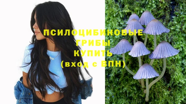 метадон Михайловск