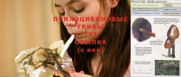 метадон Михайловск