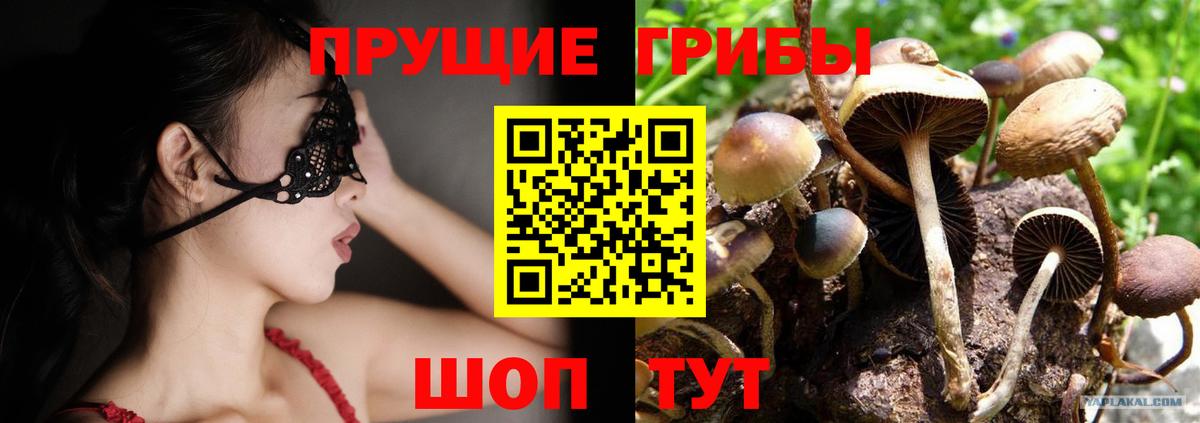 Новодвинск  Псилоцибиновые грибы ЛСД  что такое   Вход с VPN 