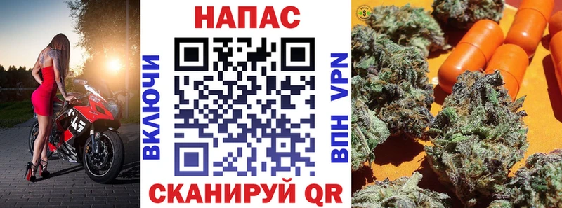Конопля индика  Новодвинск 