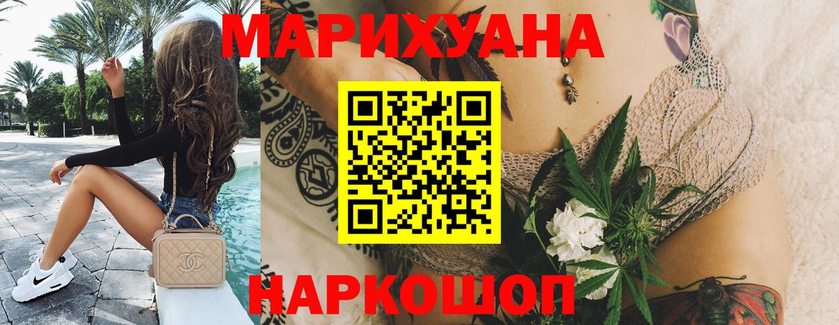 Бошки Шишки планчик Новодвинск
